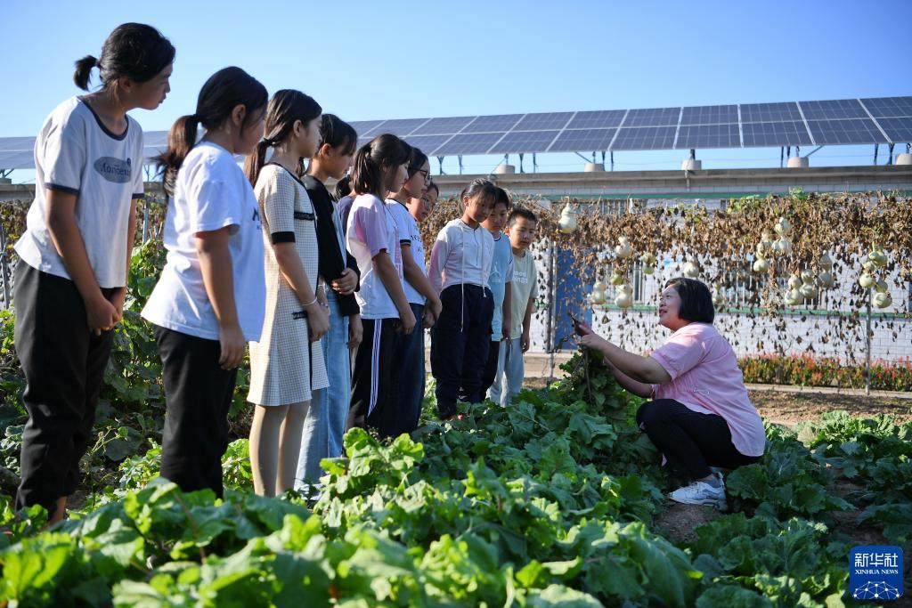 四川麻将在线玩